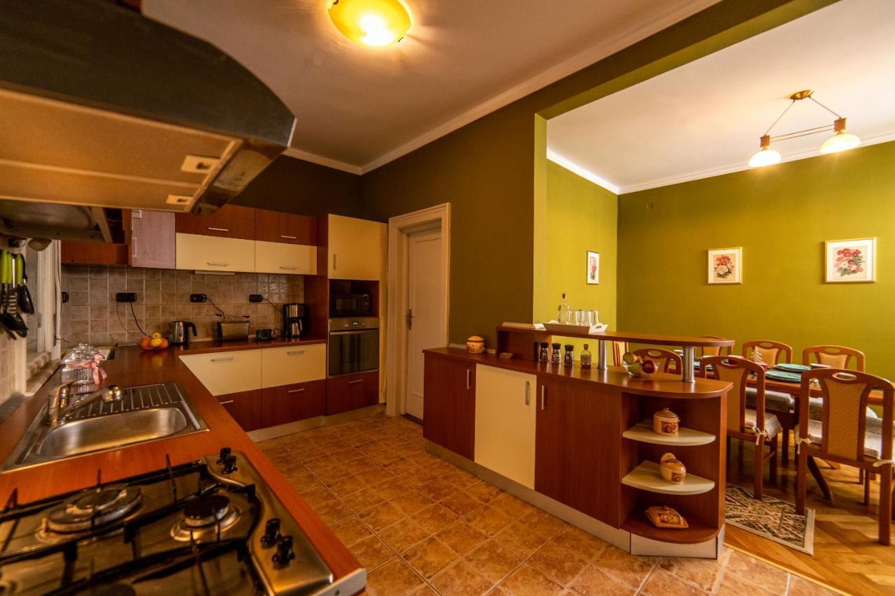 City House Тимишоара Екстериор снимка