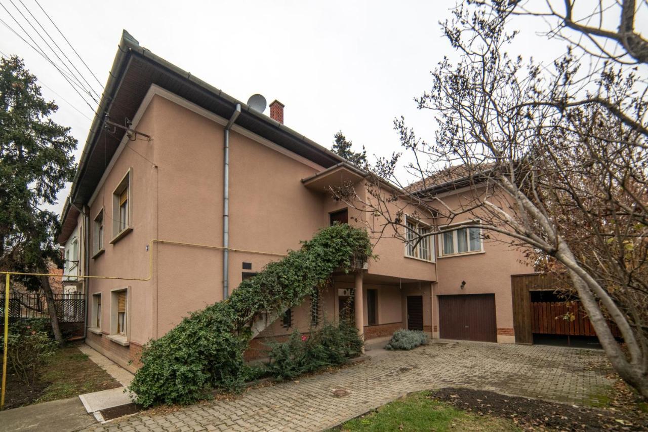 City House Тимишоара Екстериор снимка